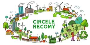 The Circular Economy: Profiting from Sustainable Growth Models
